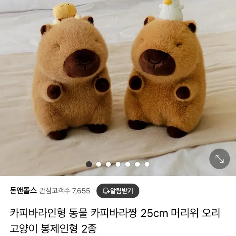 카피바라 인형 동물 카피바라짱 25cm 머리위 오리 봉제인형 새상품