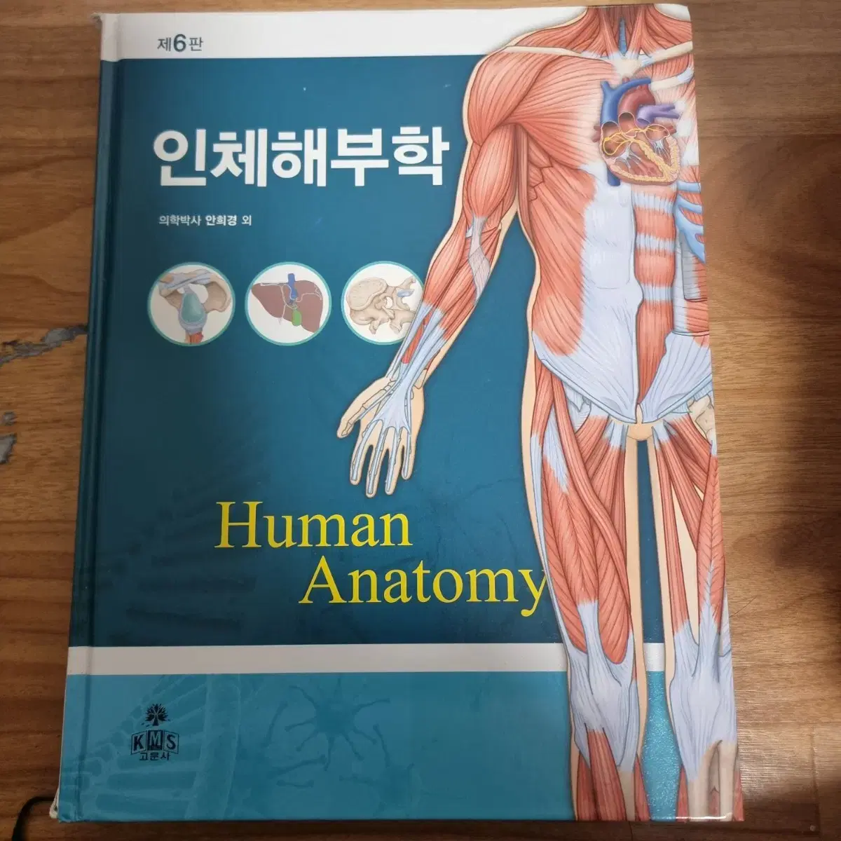 간호학과 1~4학년 책 다 팔아요