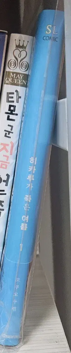 히카루가 죽은 여름 1 초판 한정판 특장판 판매