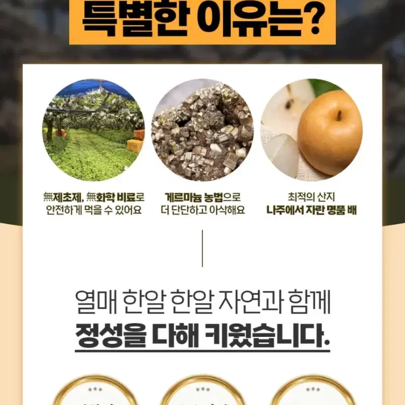 강력추천)게르마늄 나주배 7.5KG