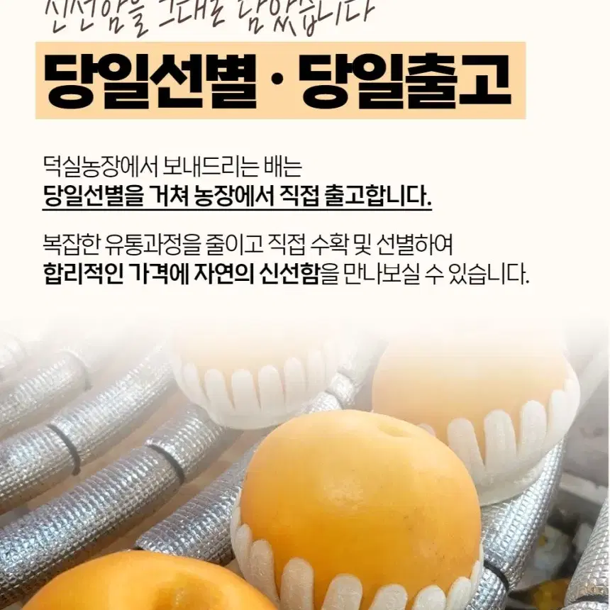 강력추천)게르마늄 나주배 7.5KG