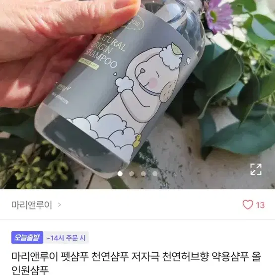 마리앤루이 펫 샴푸