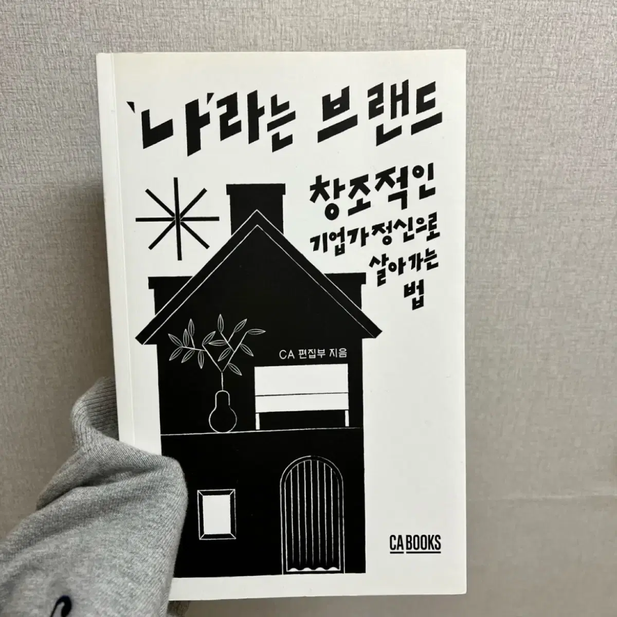 나라는 브랜드 창조적인 기업가정신으로 살아가는 법 마케팅 책