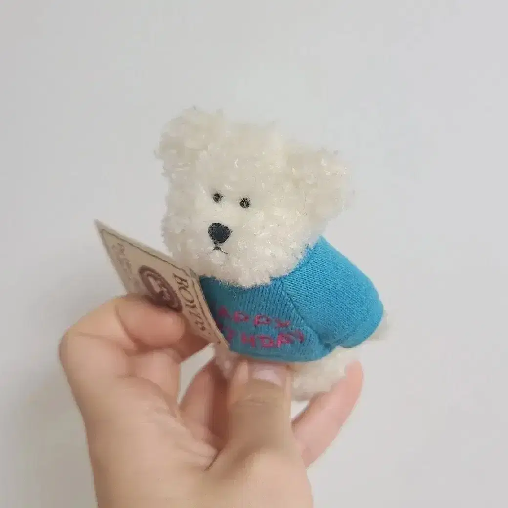 sale)보이즈베어 쪼꼬미 강아지 뽀글이 해피벌스데이 키링 빈티지 인형