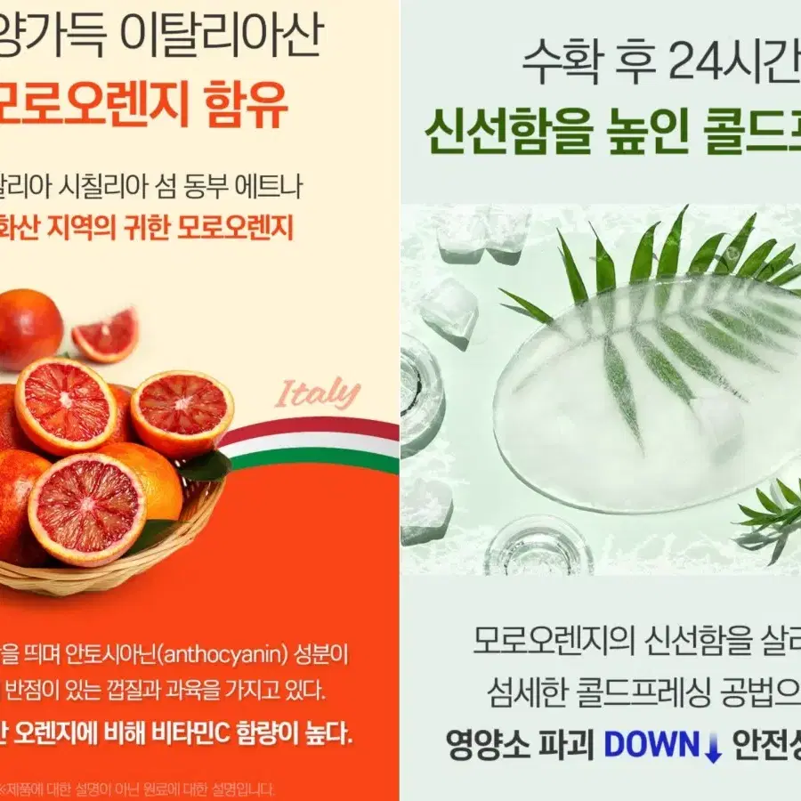 베르가못 모로오렌지 락토페린