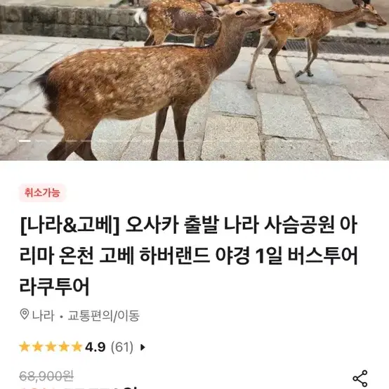 라쿠투어 나라&고베 투어 (오사카 출발)