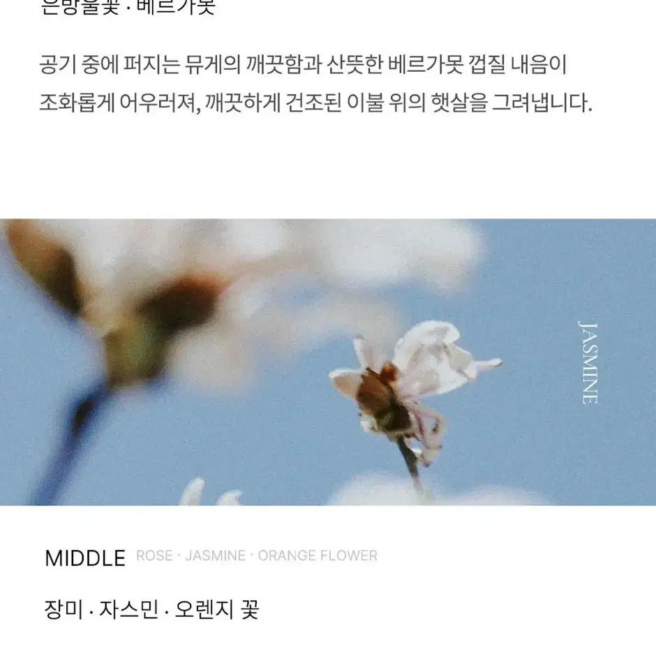 포맨트 코튼허그 50ml 미개봉