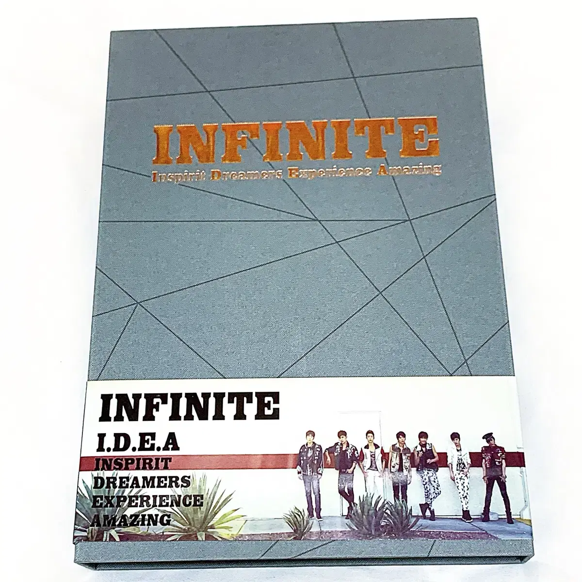 인피니트 IDEA DVD