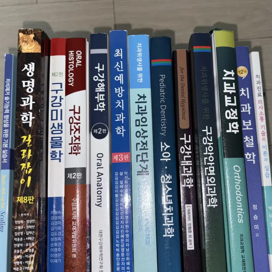 치위생 전공책