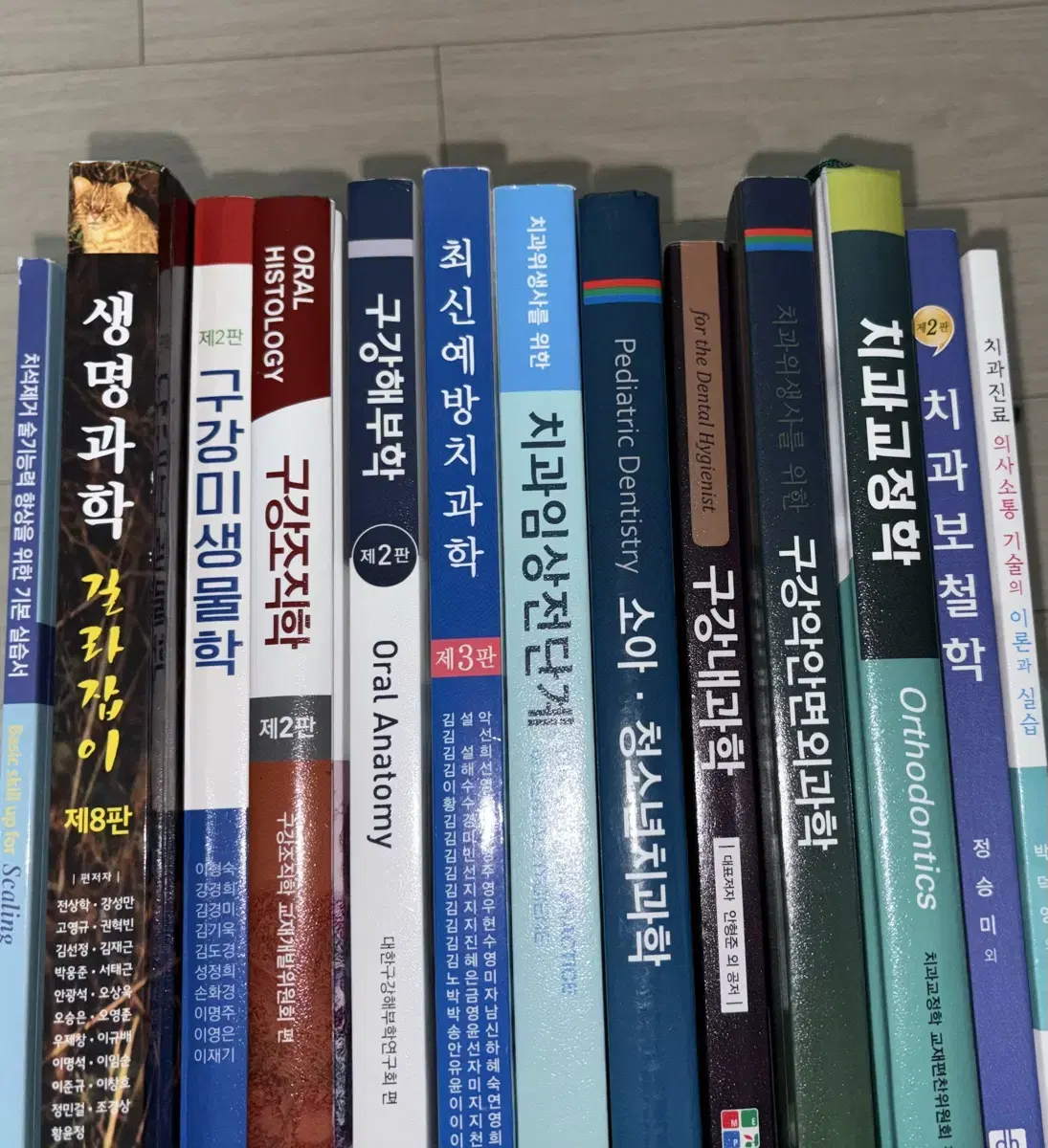 치위생 전공책