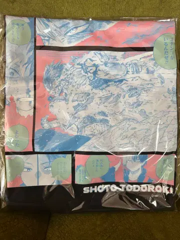 토도로키 쇼토 빅 실루엣 티셔츠