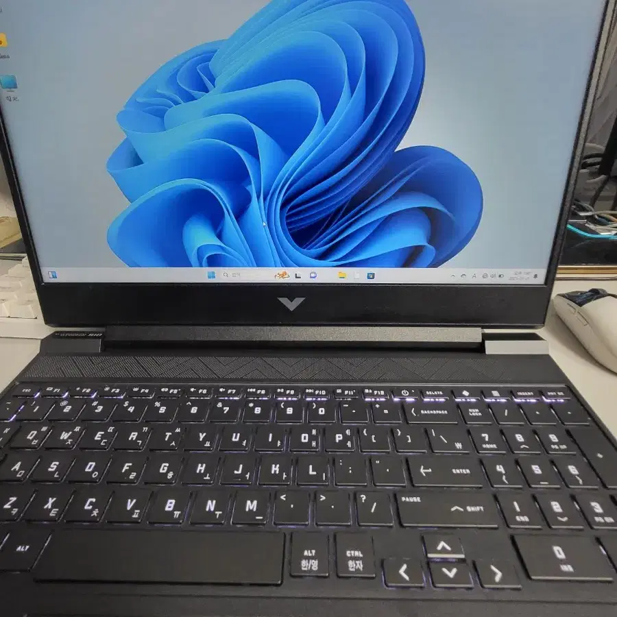 hp 노트북 i5 12450h rtx3050