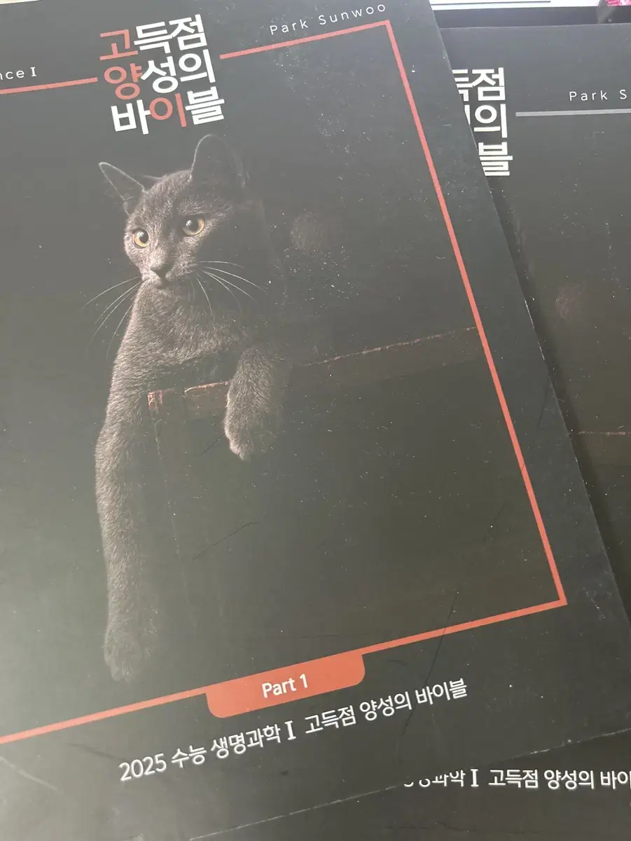 박선우T 2025 고양이