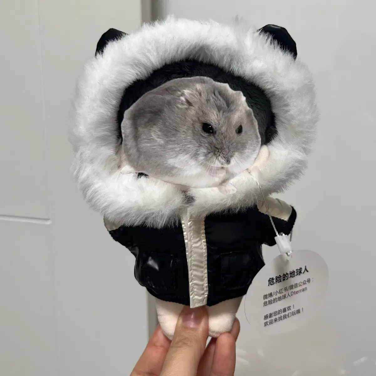 15cm 인형옷 곰돌이 패딩