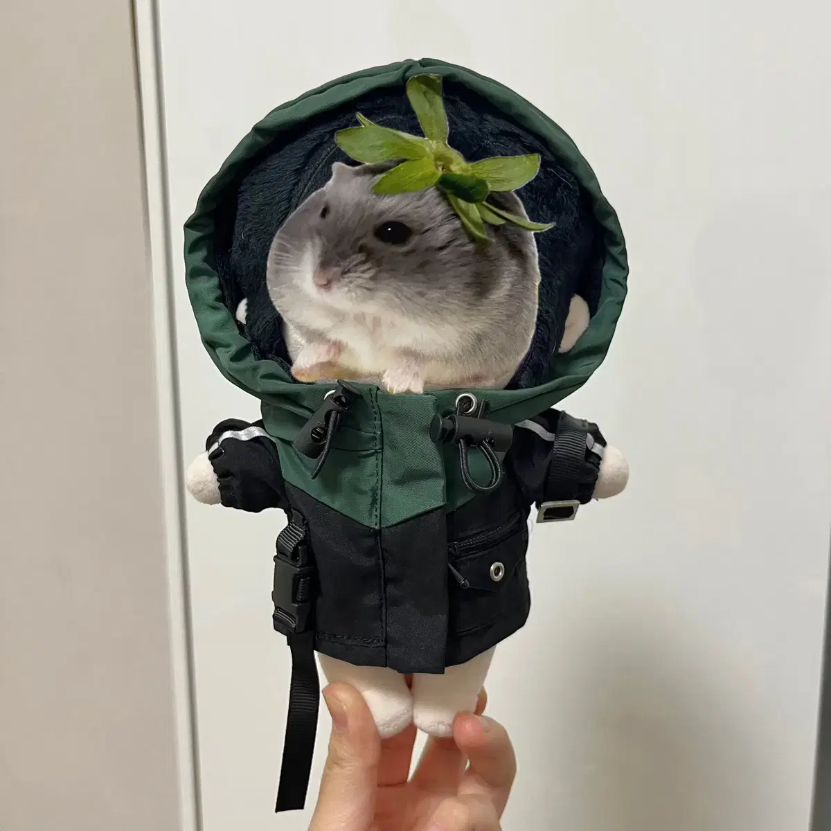 doll clothes, 20cm, windbreaker, green