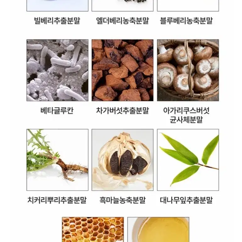 빌베리추출분말 안토시아닌