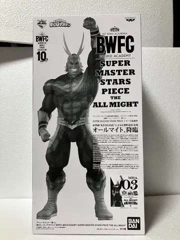 BWFC 올마이트 컬러 03