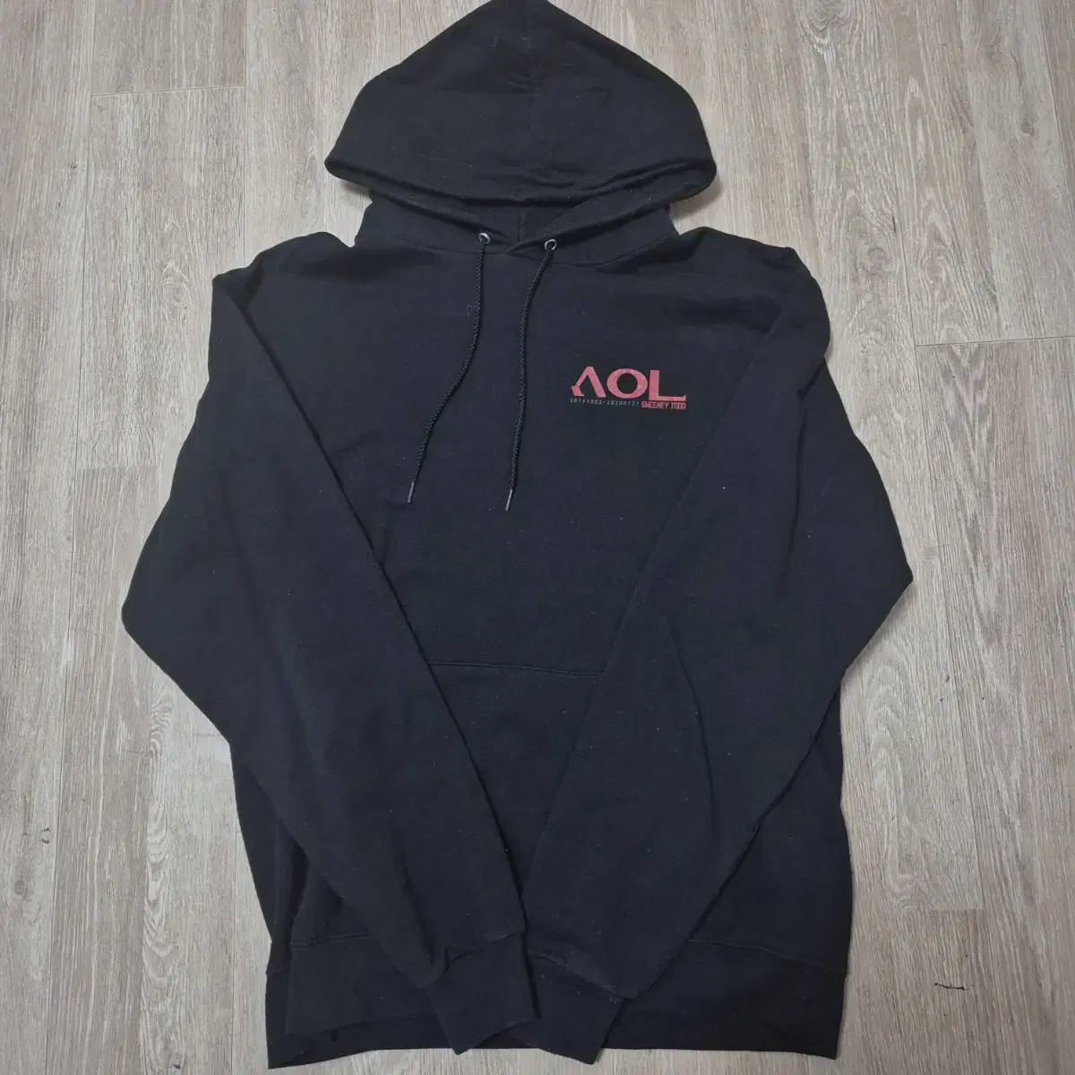 챔피온 남성 에코 AOL 후드티