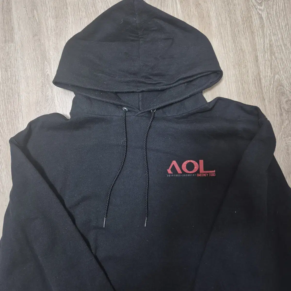 챔피온 남성 에코 AOL 후드티