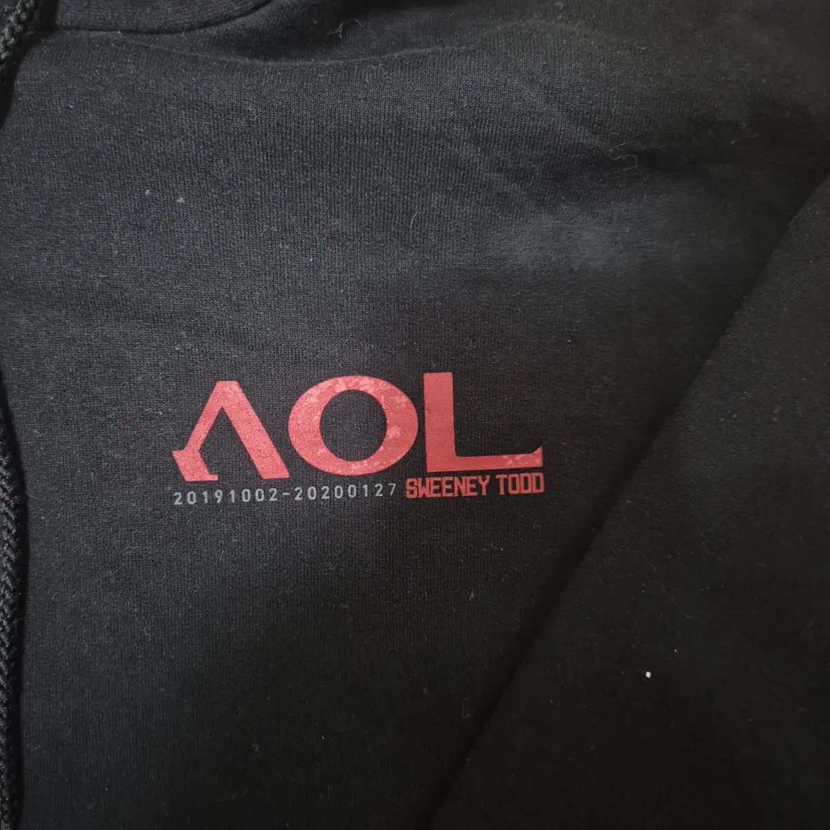 챔피온 남성 에코 AOL 후드티