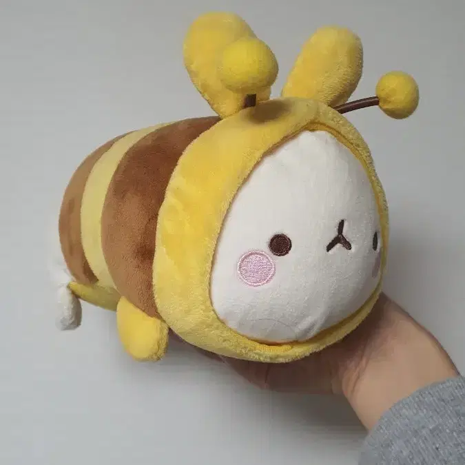 몰랑이 인형