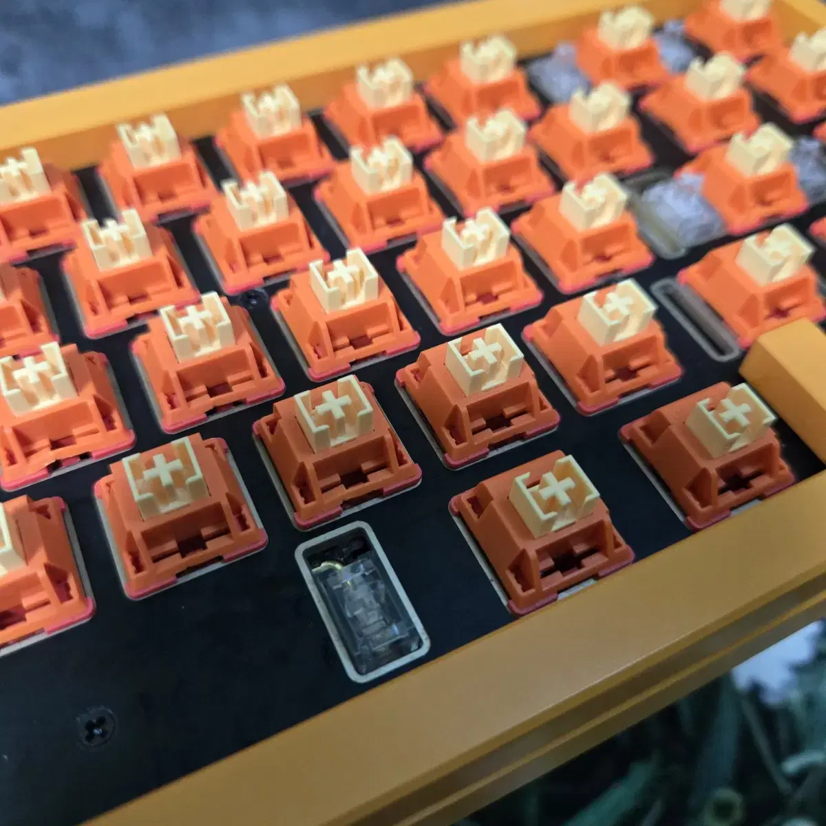 KBDFANS D65 옐로우 키보드 + 단풍 스위치