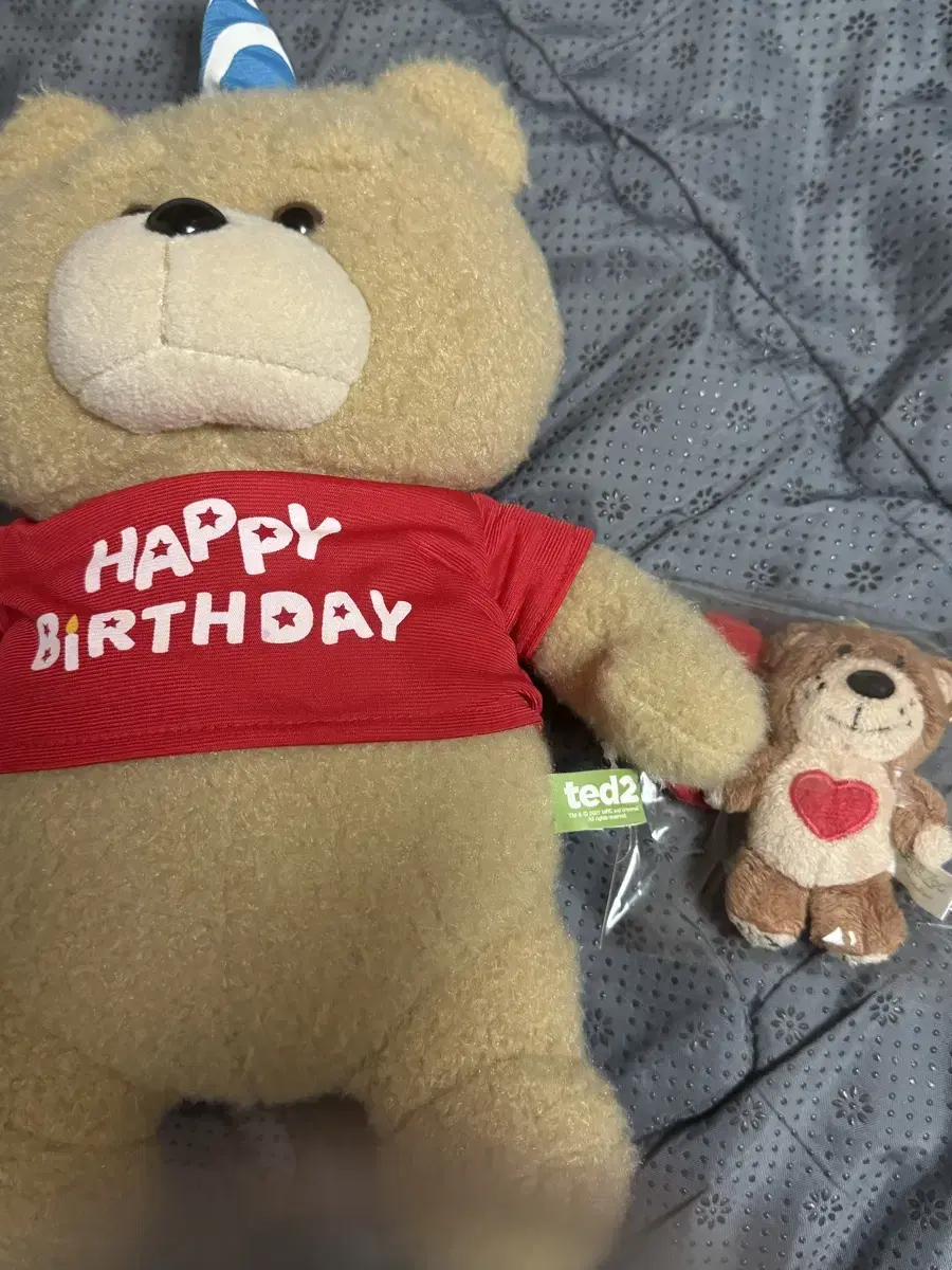 Suzys zoo 고전 인형 거울 키링 ted2 생일축하 곰 인형