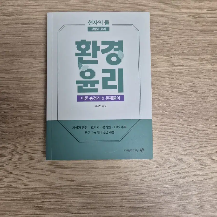 새상품 현자의돌 환경윤리 현돌