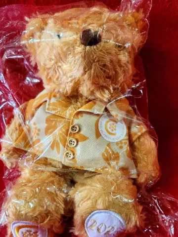 IMCA 테디베어 곰 봉제 인형 곰 후지니세이 동물 애니멀 애니멀
