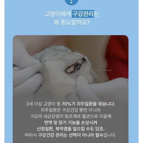 (새상품/원가 만원) 고양이 덴탈 간식 연어맛