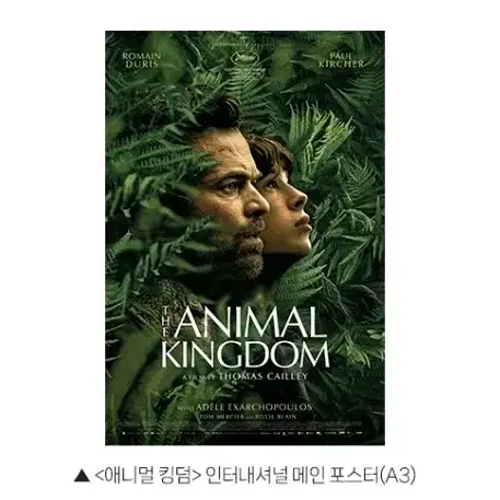 애니멀킹덤 인터내셔널 메인 포스터 cgv 특전 굿즈