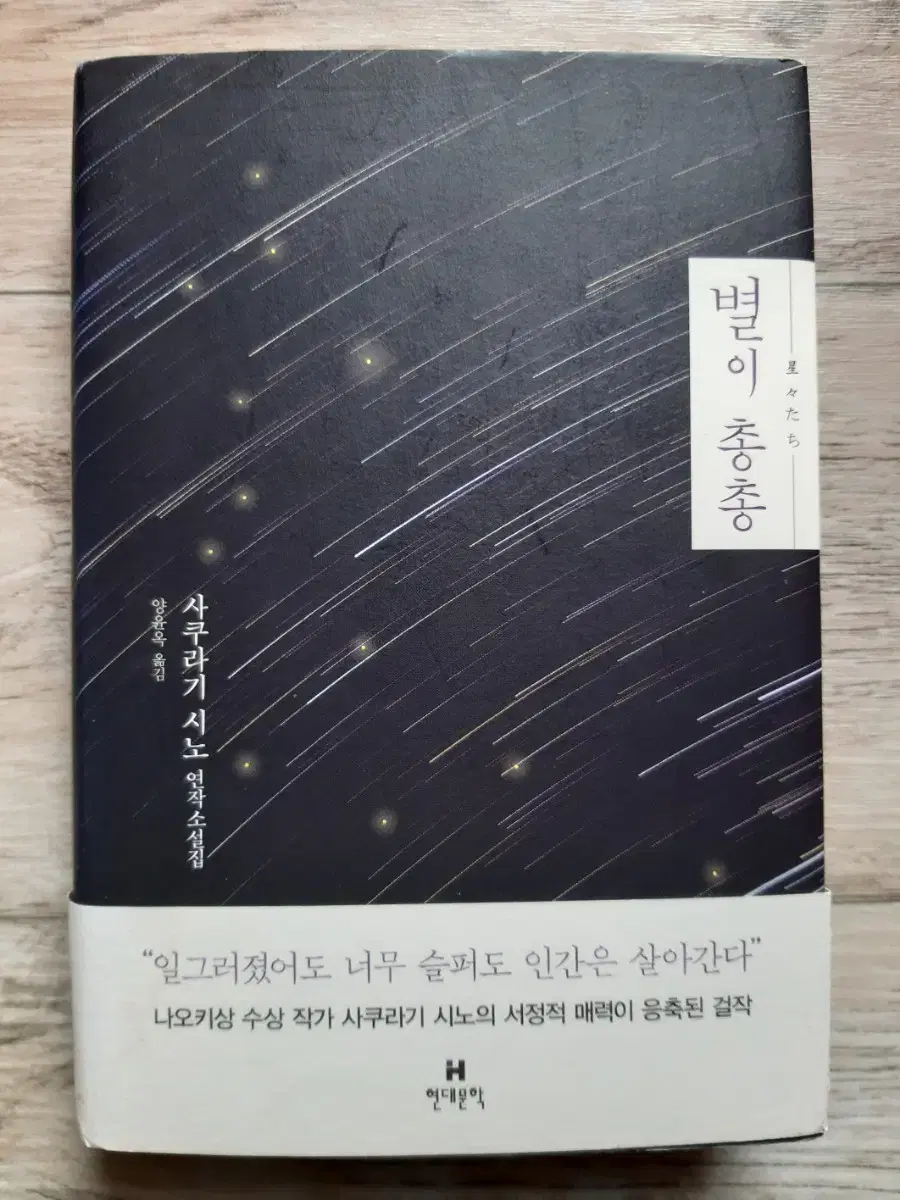 사쿠라기 시노의 <별이 총총>