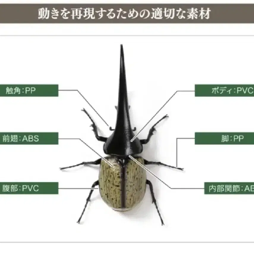 반다이 생물대도감 헤라클래스 황갈색 딱정벌레 7탄 피규어 곤충 프라모델