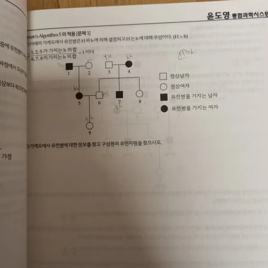 2025 윤도영 체인리액션