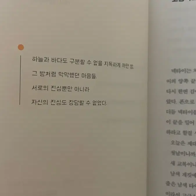 귤의맛 ( 조남주 장편 소설 )