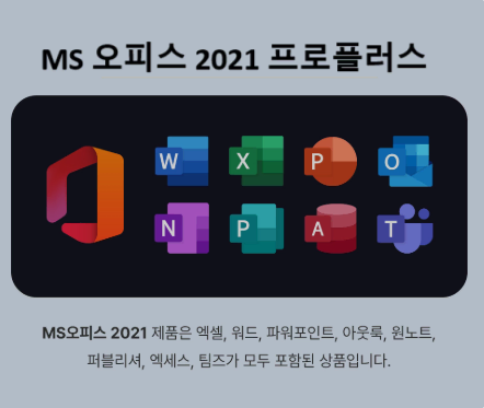 ms 오피스2021 프로플러스 1pc