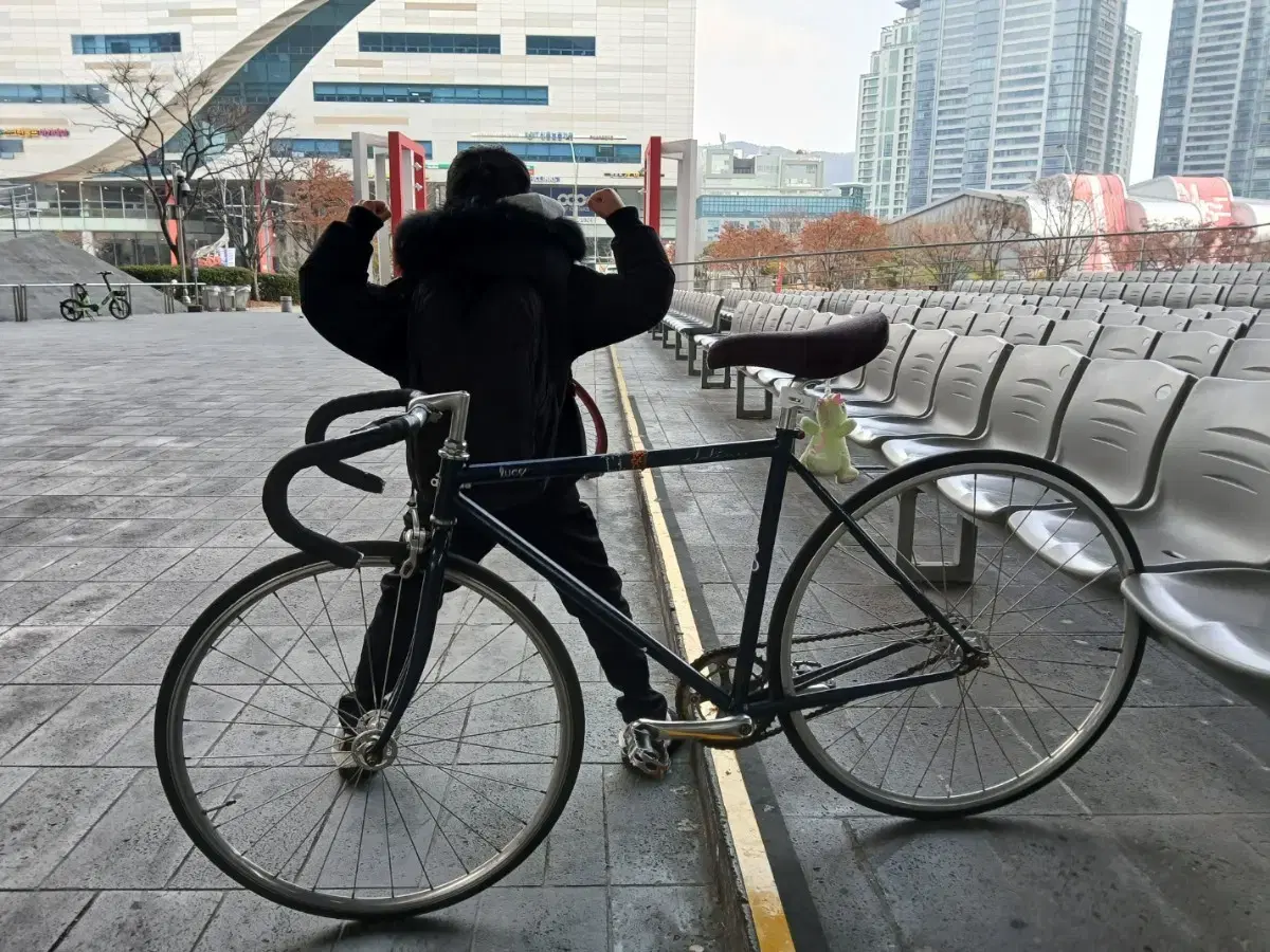 벨로라인 루시  대차만요 판매는 비싸게