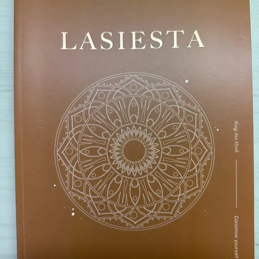 2025시대인재 송준혁T LASIESTA 도형편 판매합니다.