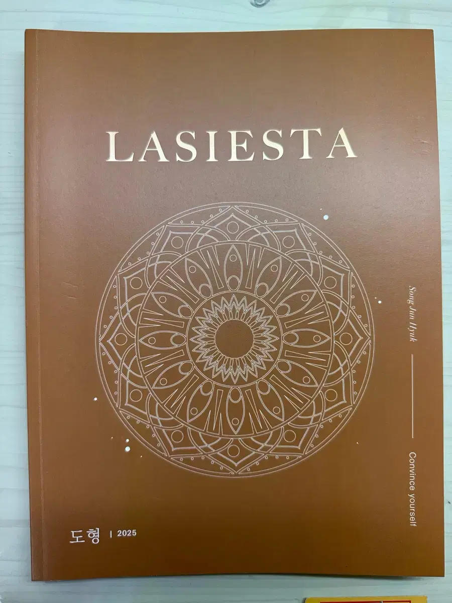 2025시대인재 송준혁T LASIESTA 도형편 판매합니다.