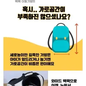 강아지이동가방