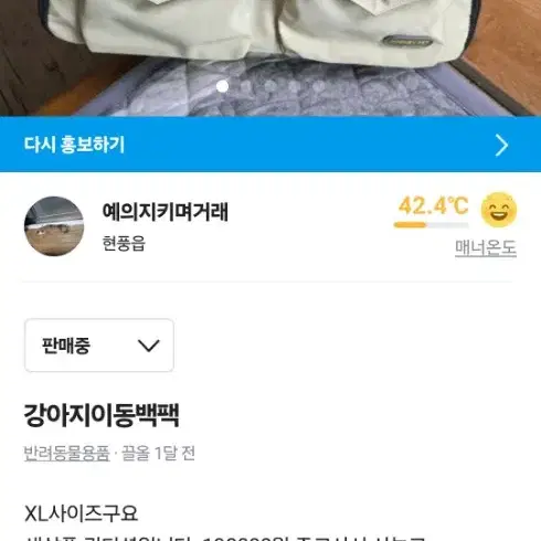 강아지이동가방