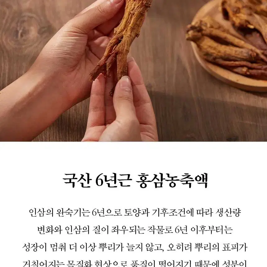 2025년 신제품 김5곤 녹용 홍삼 스틱