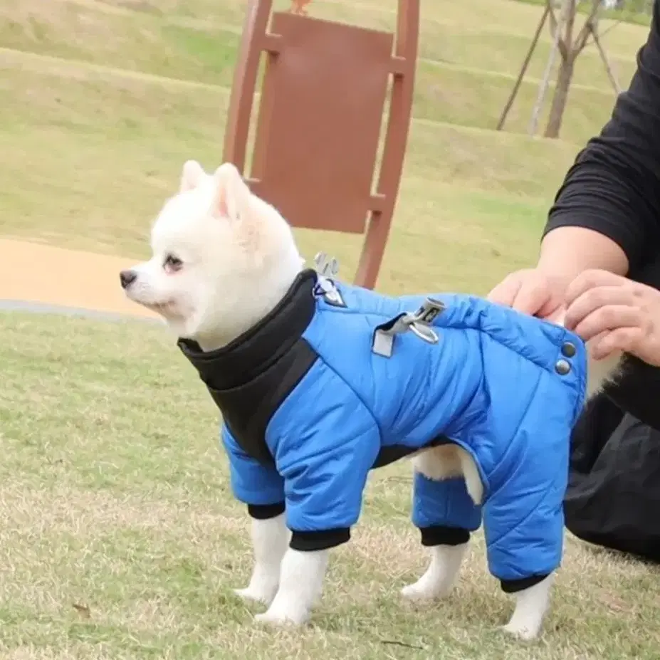 강아지패딩 올인원 새상품