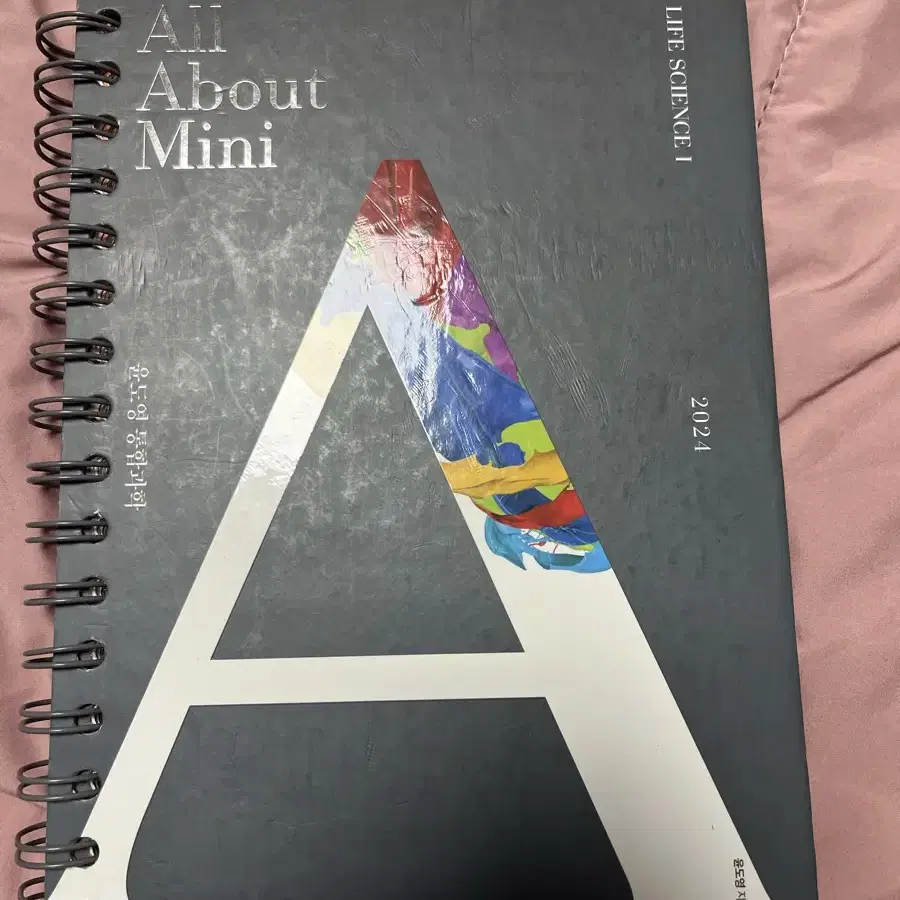 윤도영 All About Mini