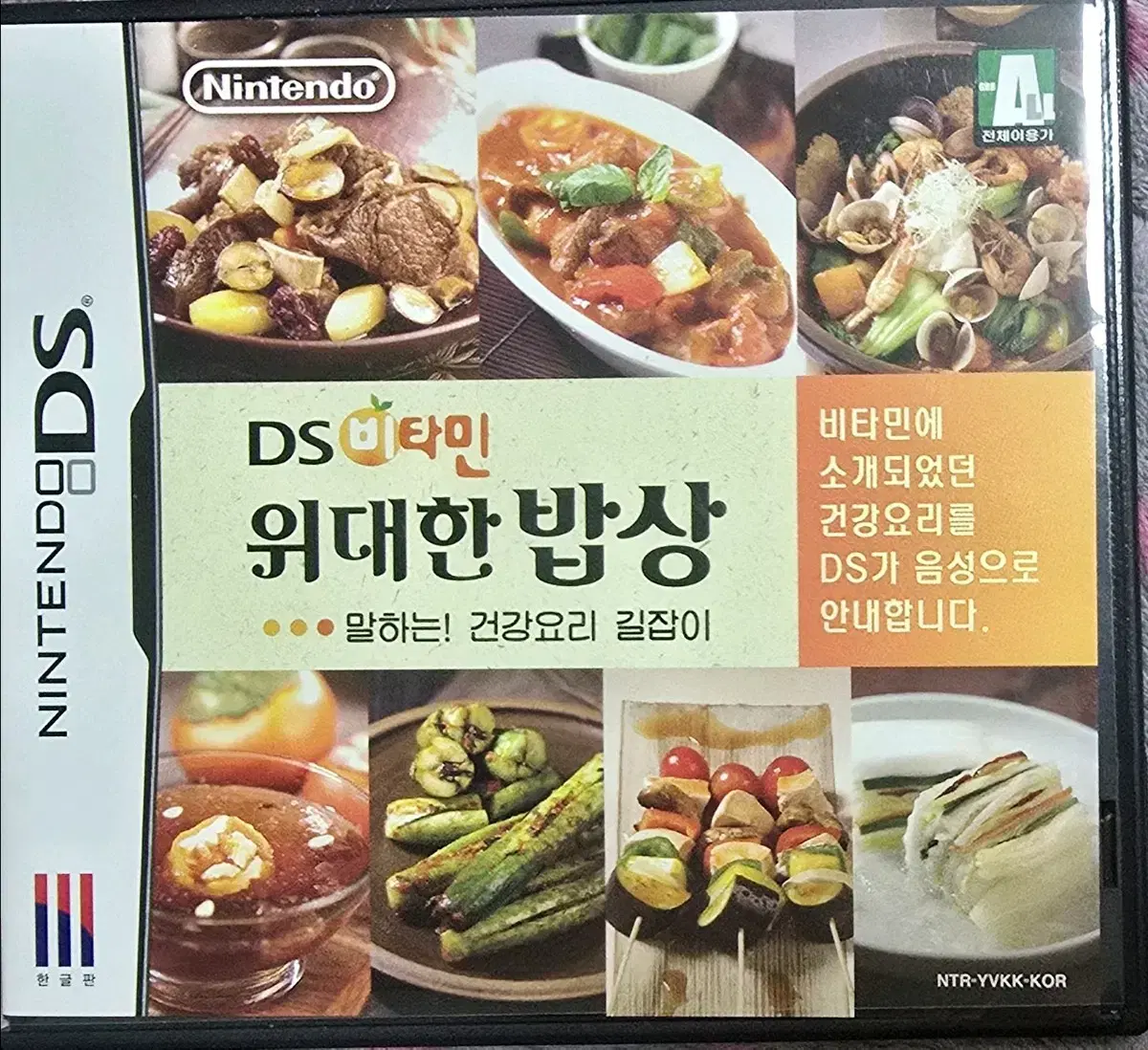 닌텐도 게임칩