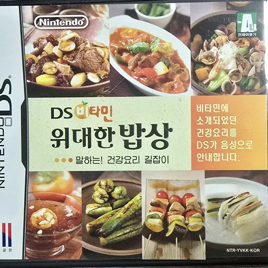 닌텐도 게임칩