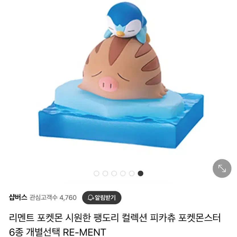 포켓몬 팽도리 리멘트 꾸꾸리