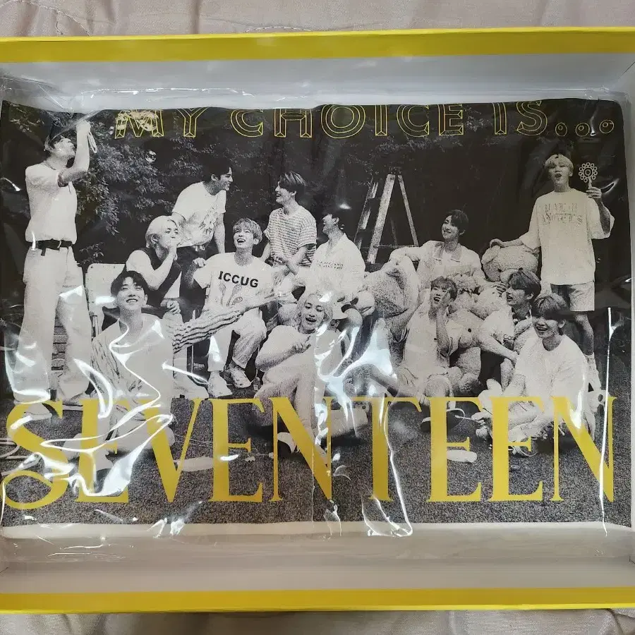 세븐틴 디아이콘 세트(일괄 양도)