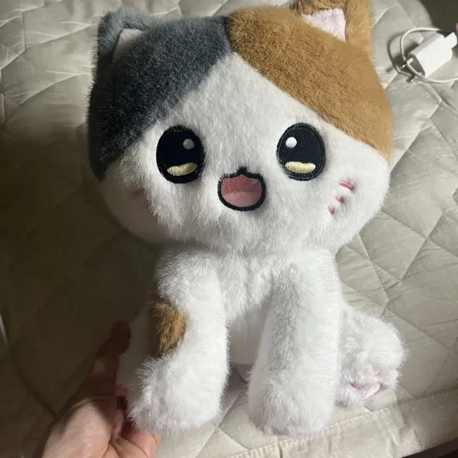 코네코짱 삼색이 고양이 27cm 인형