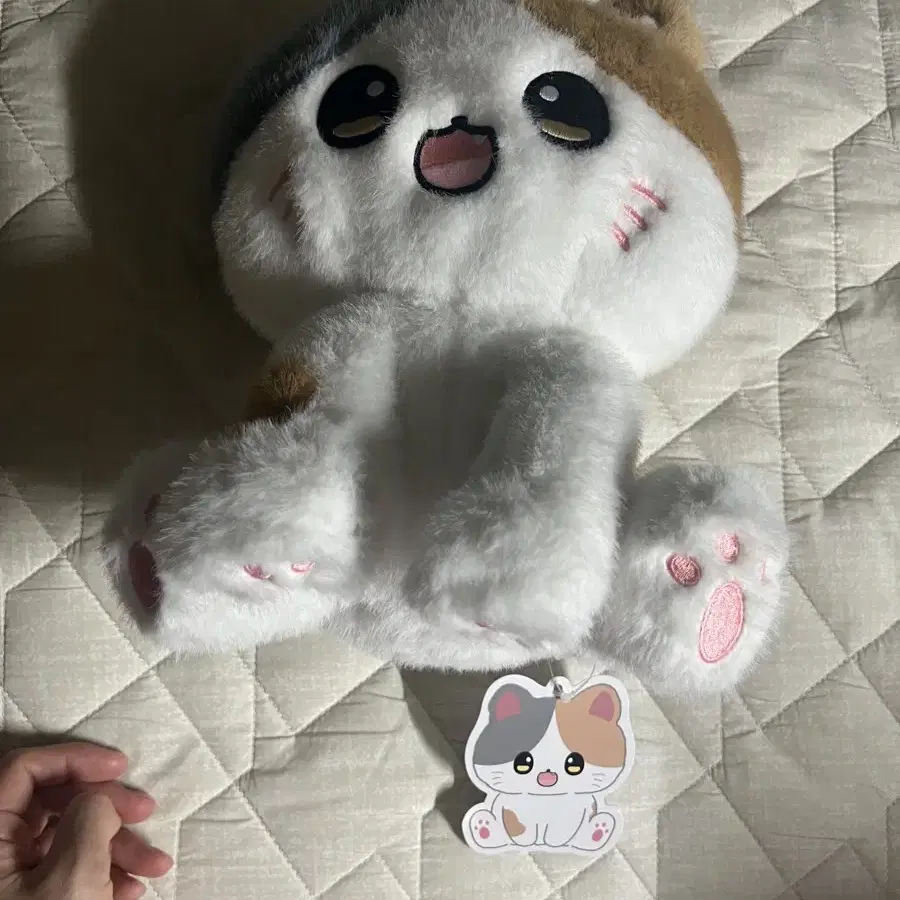 코네코짱 삼색이 고양이 27cm 인형